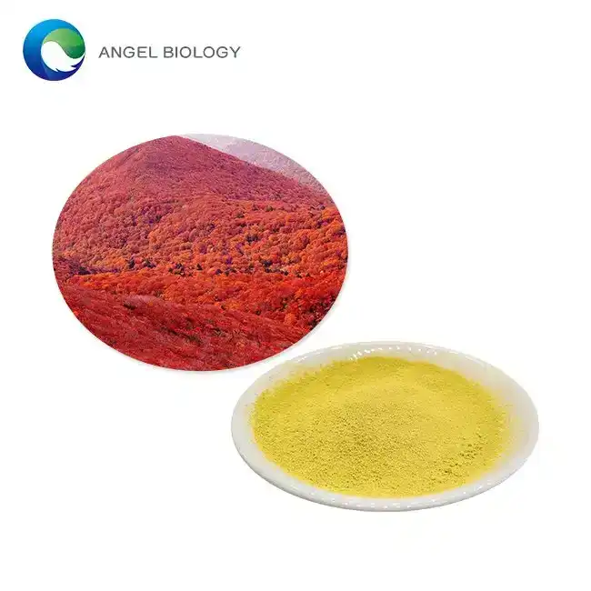 How to Use Fisetin Powder for Optimal Results: Tips and Recommendations